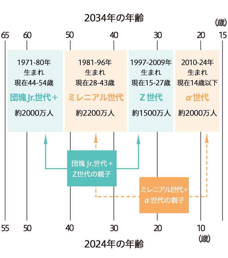 2024年・2034年の生産年齢の人口構造